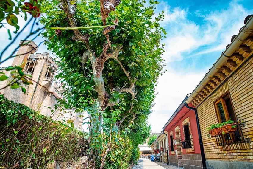 La Casa De La Abuela Daire Olite Dış mekan fotoğraf